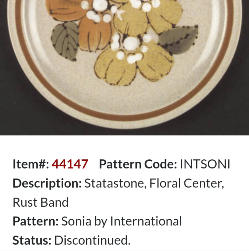 2 PIECES FOR $15 Dishware  Int. China Statastone Sweet Briar stoneware